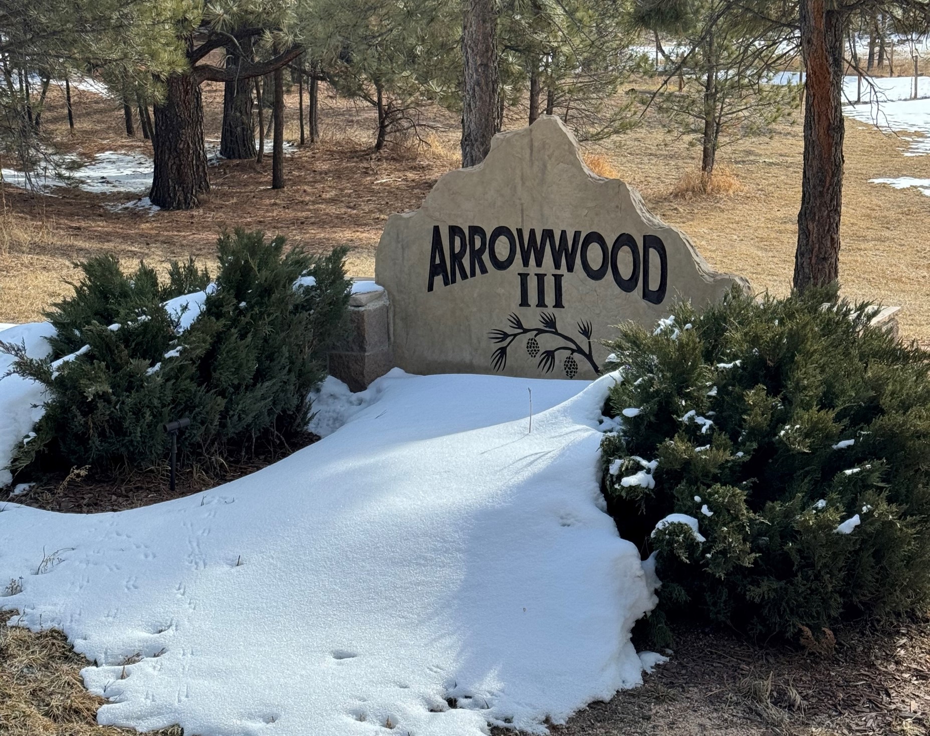 “Discovering the Hidden Gem: Arrowwood III Neighborhood in Monument, CO”